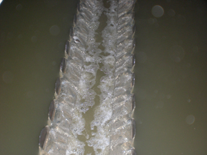 �ŏ����a�r