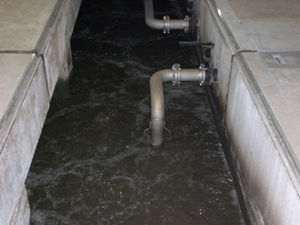 �����^���N