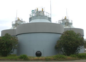 ���D�����^���N